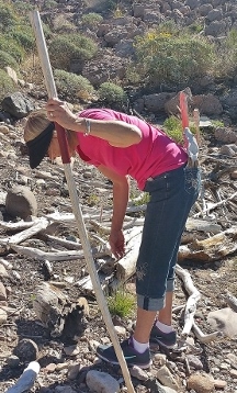 karen gathering treasures